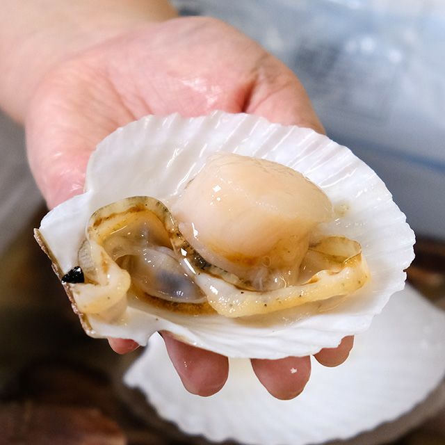 北海道猿払産“活ホタテ”4kg箱