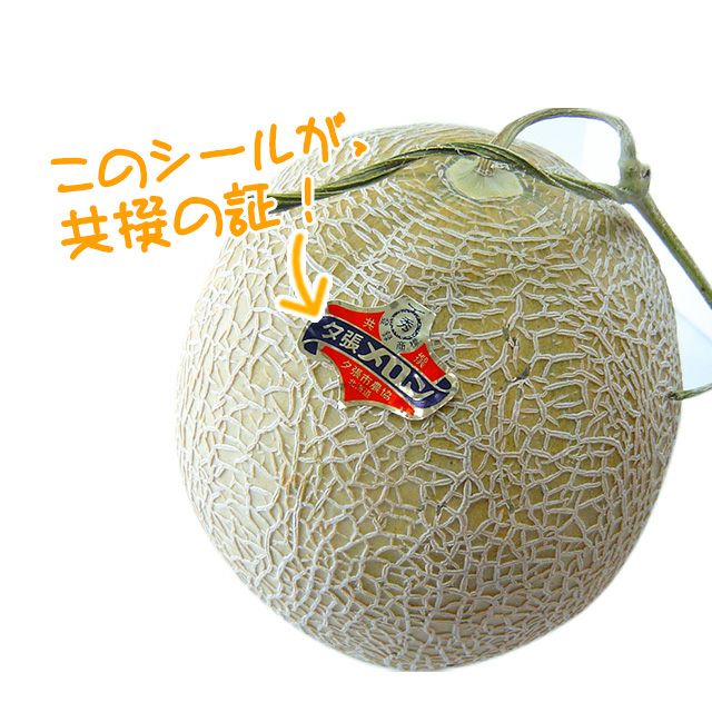 【共撰】夕張メロン（秀品）特大玉2.0kg前後×1玉