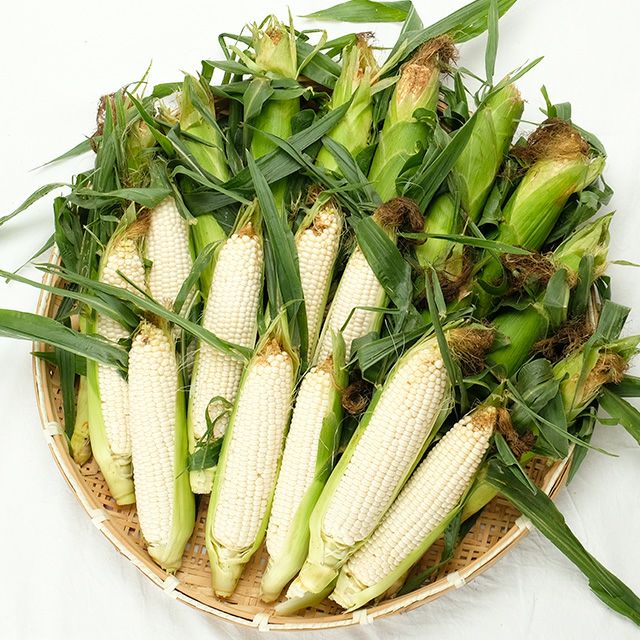 無選別・北海道産ピュアホワイトMIX20本