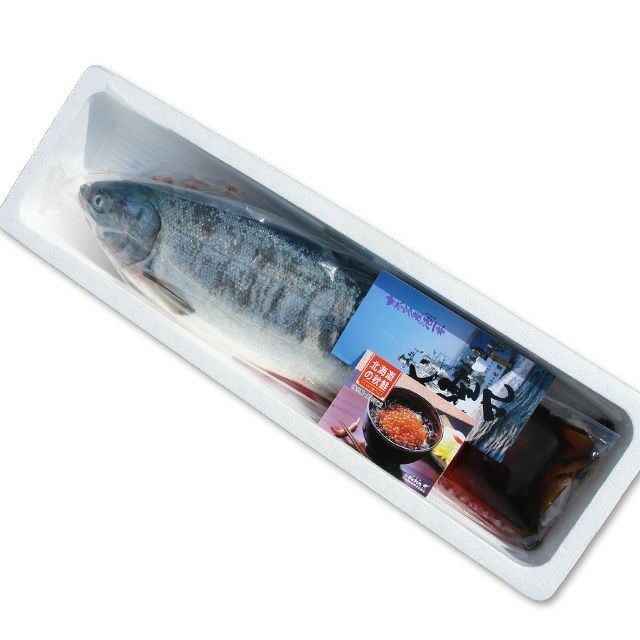 北海道枝幸沖産「鮮」めじか鮭3kg＜生冷蔵＞の通販｜最北の海鮮市場