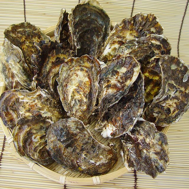 カンカン蒸し牡蠣2kg＜生冷蔵＞