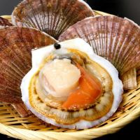 北海道野付産「活」ホタテ2kg箱(特大6枚前後)＜生冷蔵＞