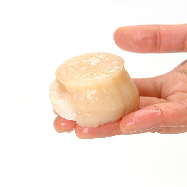 北海道野付産「活」ホタテ2kg箱(特大6枚前後)＜生冷蔵＞