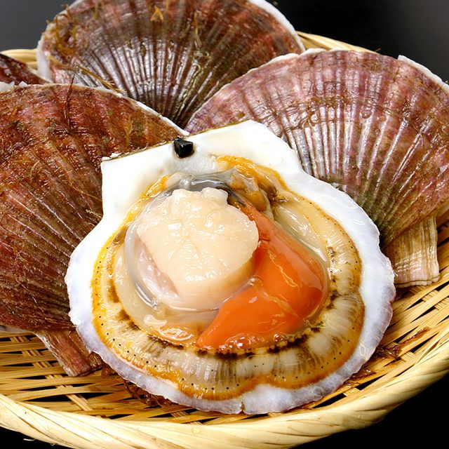 北海道野付産「活」ホタテ4kg箱(特大11枚前後)＜生冷蔵＞