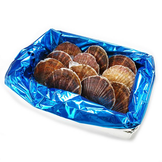 北海道野付産「活」ホタテ4kg箱(特大11枚前後)＜生冷蔵＞