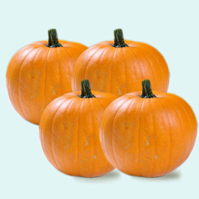 495円 国内外の人気が集結 ハロウィン用ミニかぼちゃ 富良野産 5個入り 税込 送料込み 495円 国内外の人気が集結 ハロウィン用ミニかぼちゃ 富良野産 5個入り 税込 送料込み