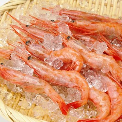 お刺身甘エビ3lサイズ1kg 50尾前後 生冷凍 の通販 最北の海鮮市場