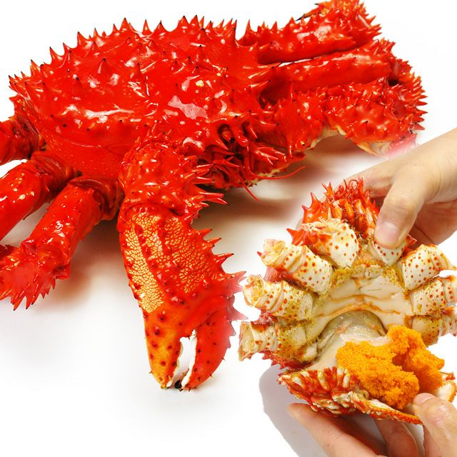 北海道根室産子持ち花咲蟹900g前後 ボイル冷凍 の通販 最北の海鮮市場