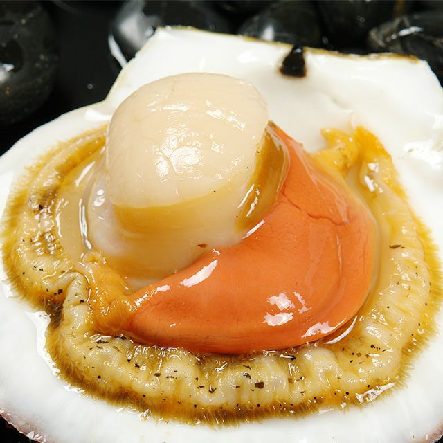 北海道野付産 活 ホタテ4kg箱 生冷蔵 の通販 最北の海鮮市場