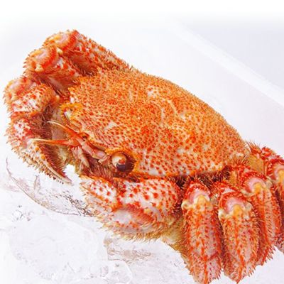 北海道産紋別毛ガニ450g前後 ボイル冷凍 の通販 最北の海鮮市場 北海道産紋別毛ガニ450g前後 ボイル冷凍 の通販 最北の海鮮市場