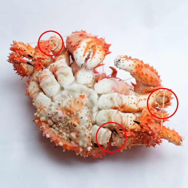 【セール】北海道産花咲蟹姿1.2g前後×2尾＜ボイル冷凍＞