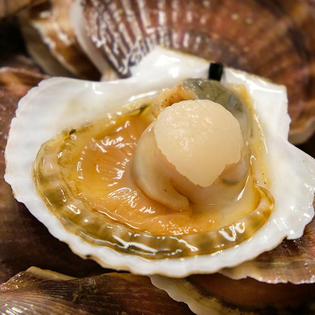 活ホタテの食べ方 捌き さばき 方 最北の海鮮市場 活ホタテの食べ方 捌き さばき 方 最北の海鮮市場