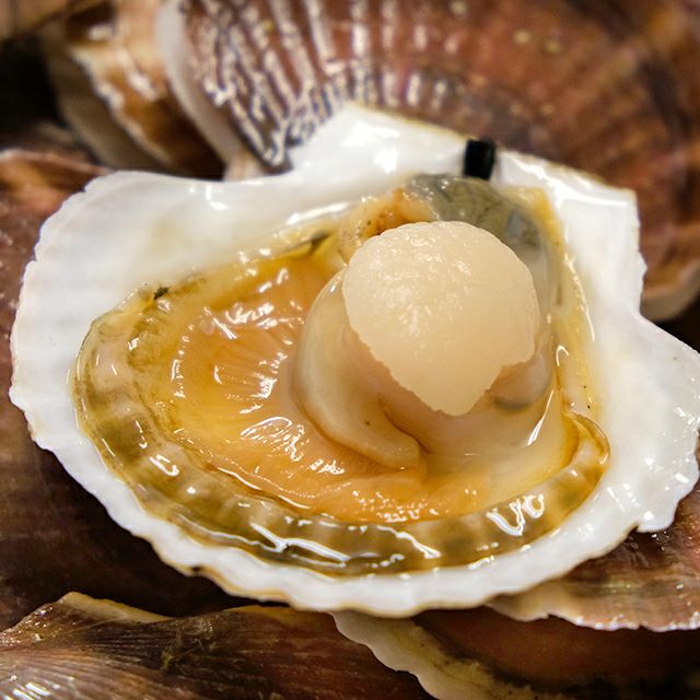 活ホタテの食べ方 捌き さばき 方 最北の海鮮市場
