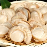 北海道猿払産ハーフボイルホタテ500g(15-20個)