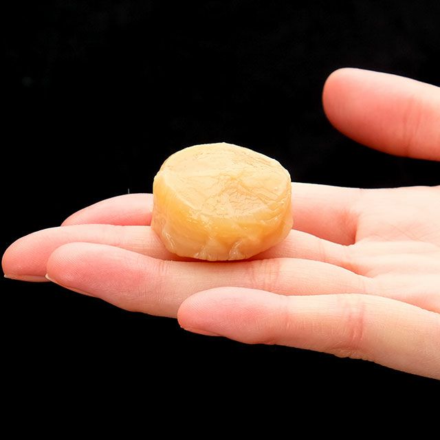 北海道猿払産ソフトホタテ貝柱(8粒)