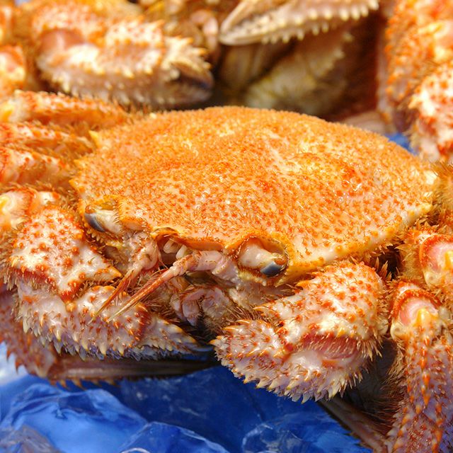 北海道産毛ガニ姿650g前後＜浜茹で・チルド＞