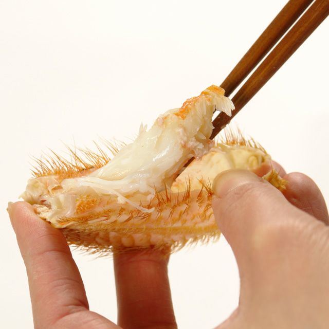 北海道産毛ガニ姿800g前後＜浜茹で・チルド＞