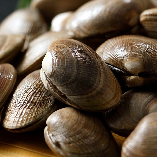 北海道根室産「大」あさり1kg＜生冷蔵＞