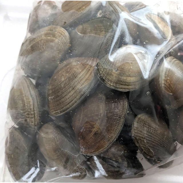 北海道根室産「大」あさり1kg＜生冷蔵＞