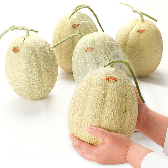 【個撰】訳あり夕張メロン箱売り8kg箱