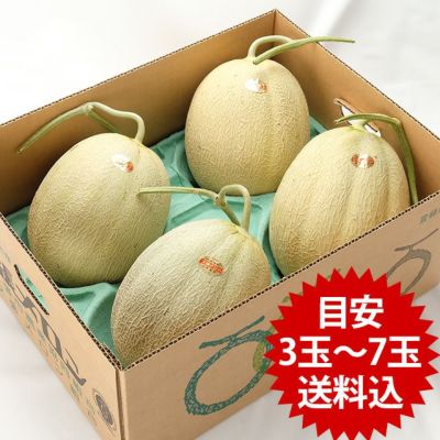 最北の海鮮市場×最北の海鮮市場×北海道ギフト特集。北海道産のカニや海産物をお届け。北海道産のカニや海産物をお届け。