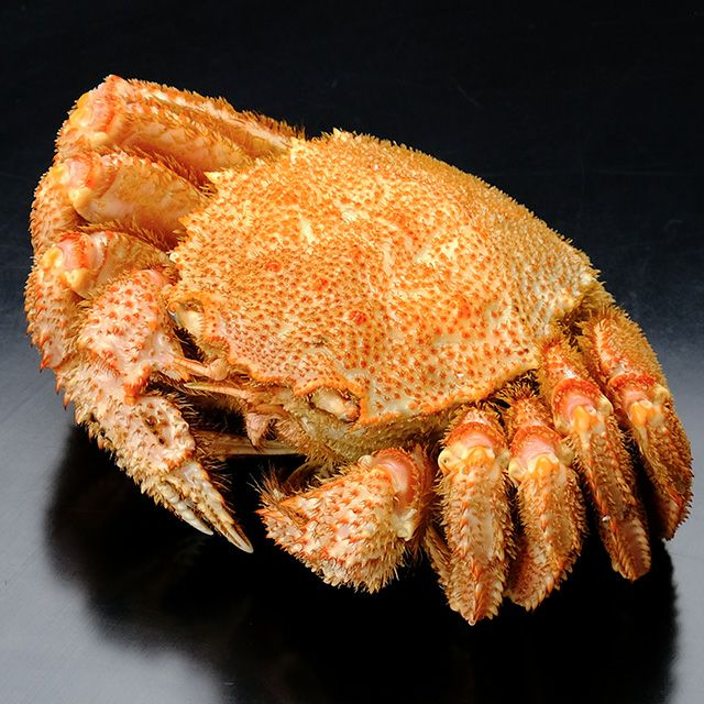 枝幸産毛ガニ姿650g前後＜ボイル冷凍＞