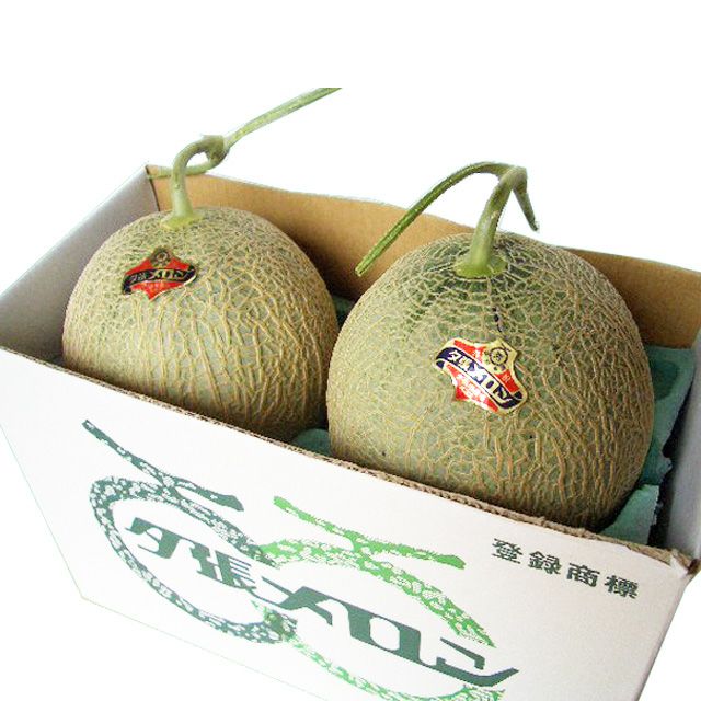 【共撰】夕張メロン(良品)大玉1.6kg前後×2玉