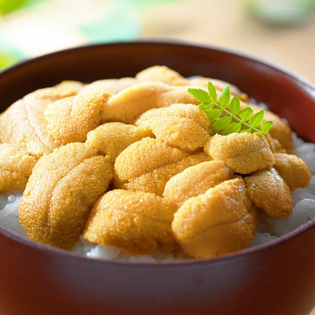 北海道産キタムラサキウニ塩水パック100g