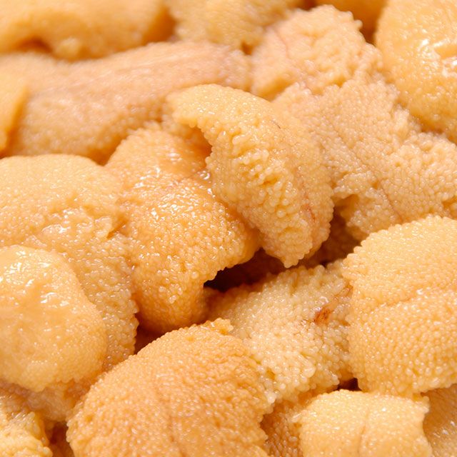 北海道産キタムラサキウニ塩水パック100g×2