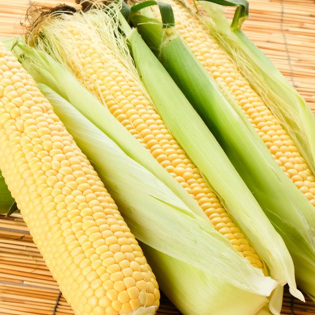 北海道産有機栽培とうもろこし12本入