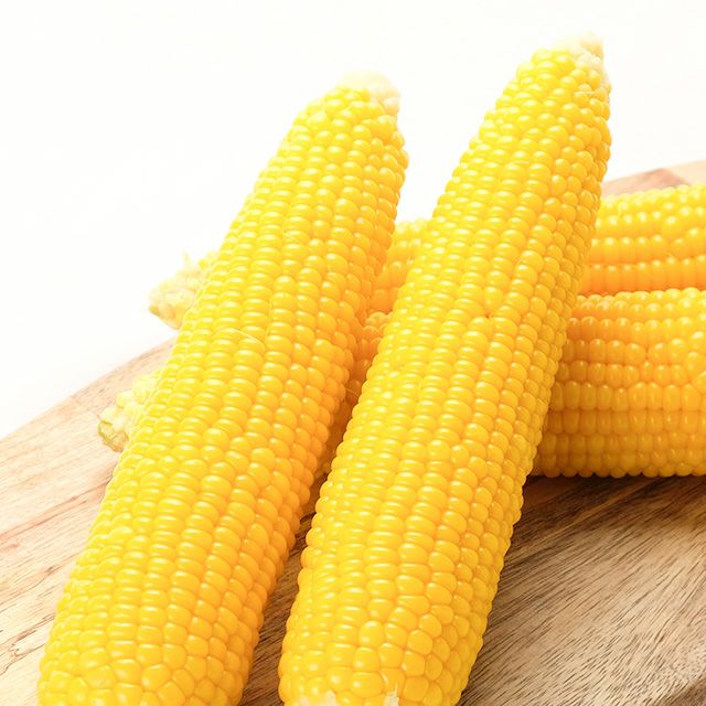 北海道産有機栽培とうもろこし12本入