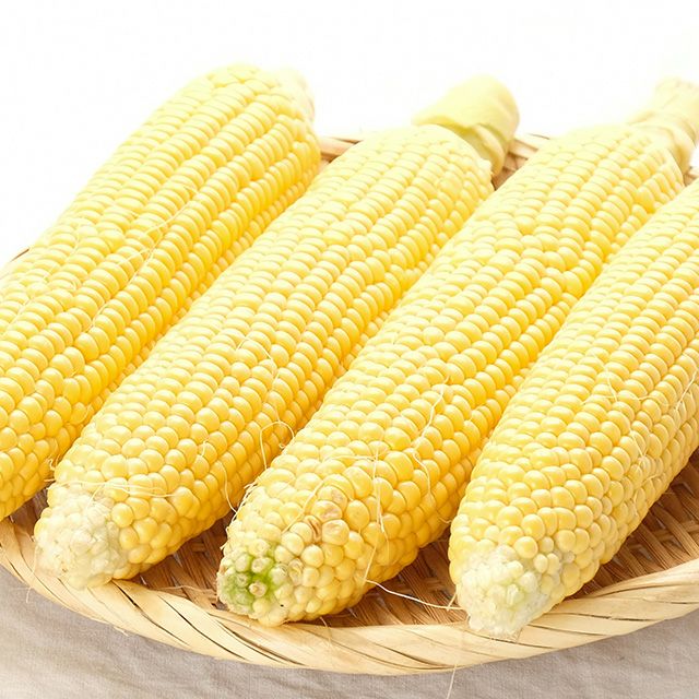 北海道産有機栽培とうもろこし22本入
