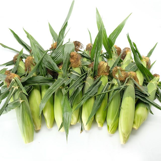 北海道産有機栽培とうもろこし22本入