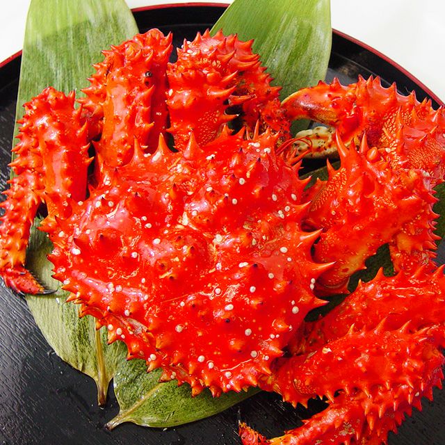 花咲蟹（花咲ガニ） | 最北の海鮮市場